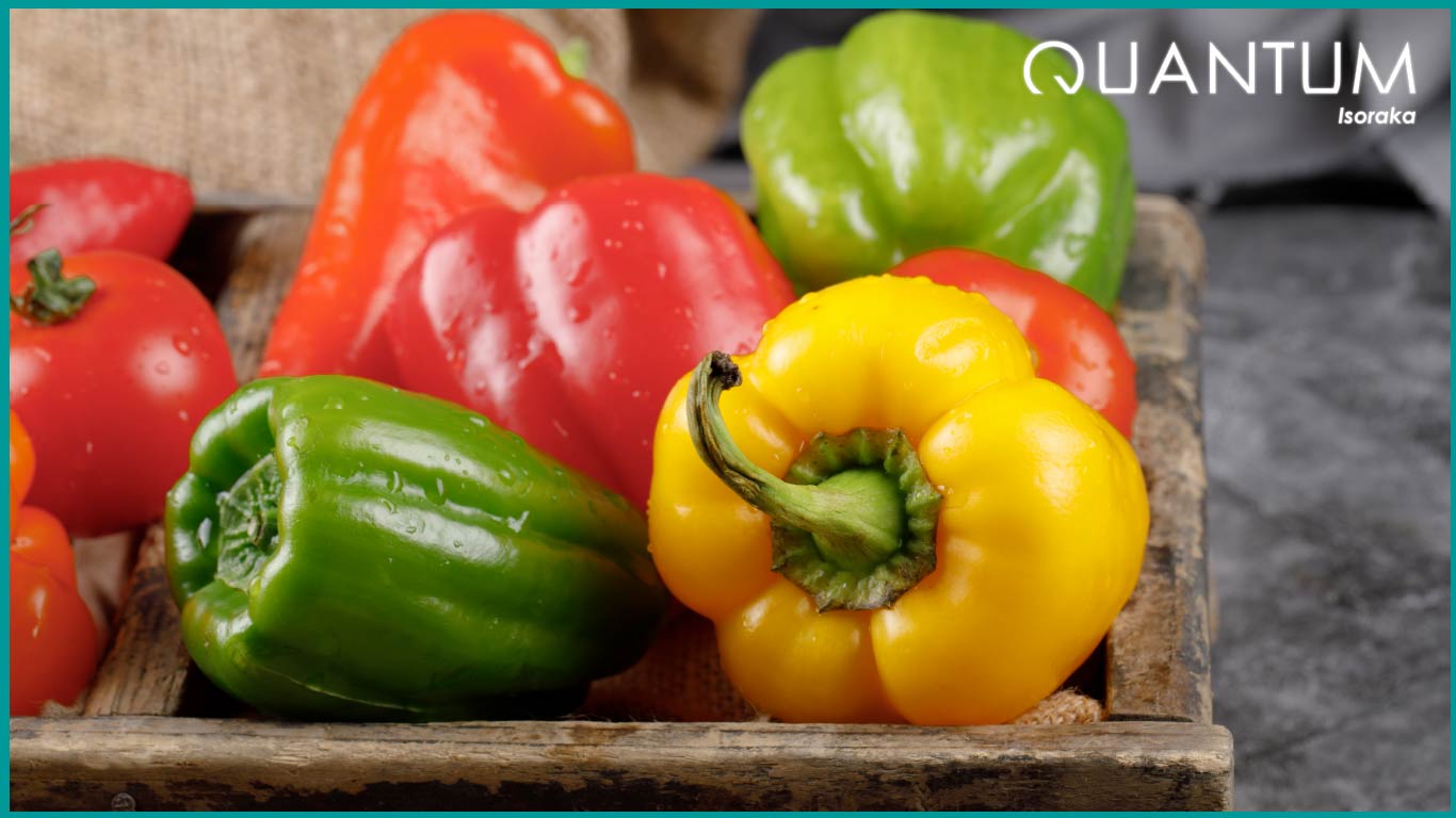 Le poivron | quantum-isoraka.com