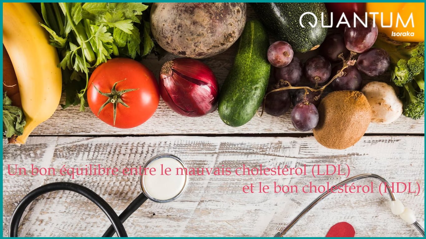 Un bon équilibre entre le mauvais cholestérol (LDL) et le bon cholestérol (HDL) | quantum-isoraka.com
