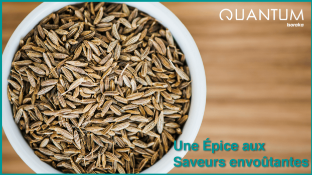 Les Bienfaits et Utilisations du Cumin | quantum-isoraka.com